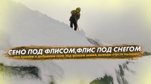 Как храним сено под флисом и добываем его зимой. Выводы спустя ползимы