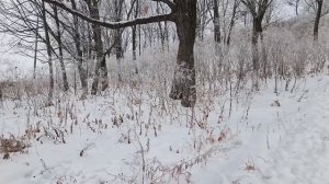 Шли по дороге доброта и счастье