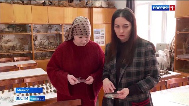 Адыгейский госуниверситет в очередной раз принял на постой в своем внутреннем дворике ушастых сов смотреть онлайн