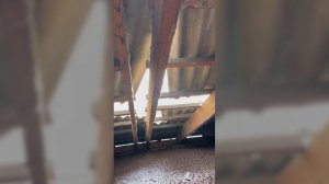 КРЫША КАК СИТО