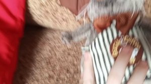 новый басик 🥳🥳🥳🥳