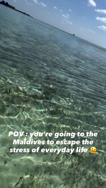 Косяк рыб внезапно атаковал туристку на Мальдивах смотреть онлайн