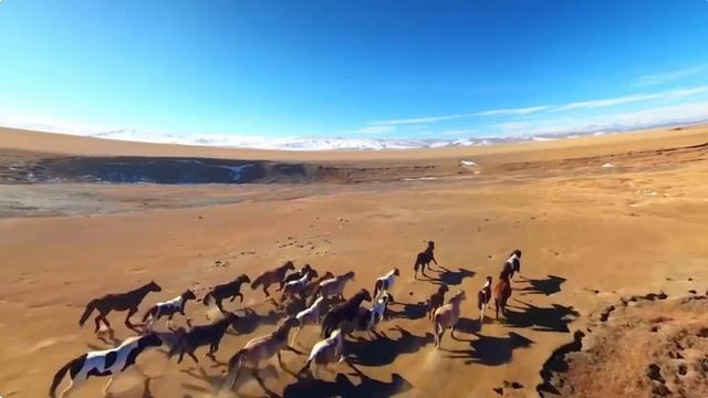 Путешествие по России смотреть онлайн