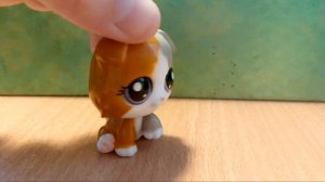 LPS сравнение новый и старой коллекции