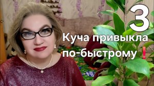 Куча привыкла по-быстрому😉❗️