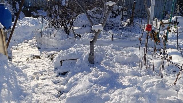 Утро немного потеплело смотреть онлайн