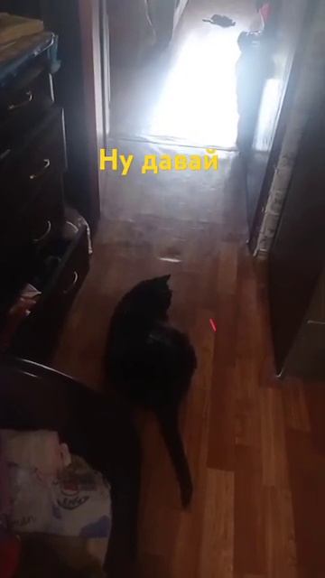 [get.gt] смотреть онлайн