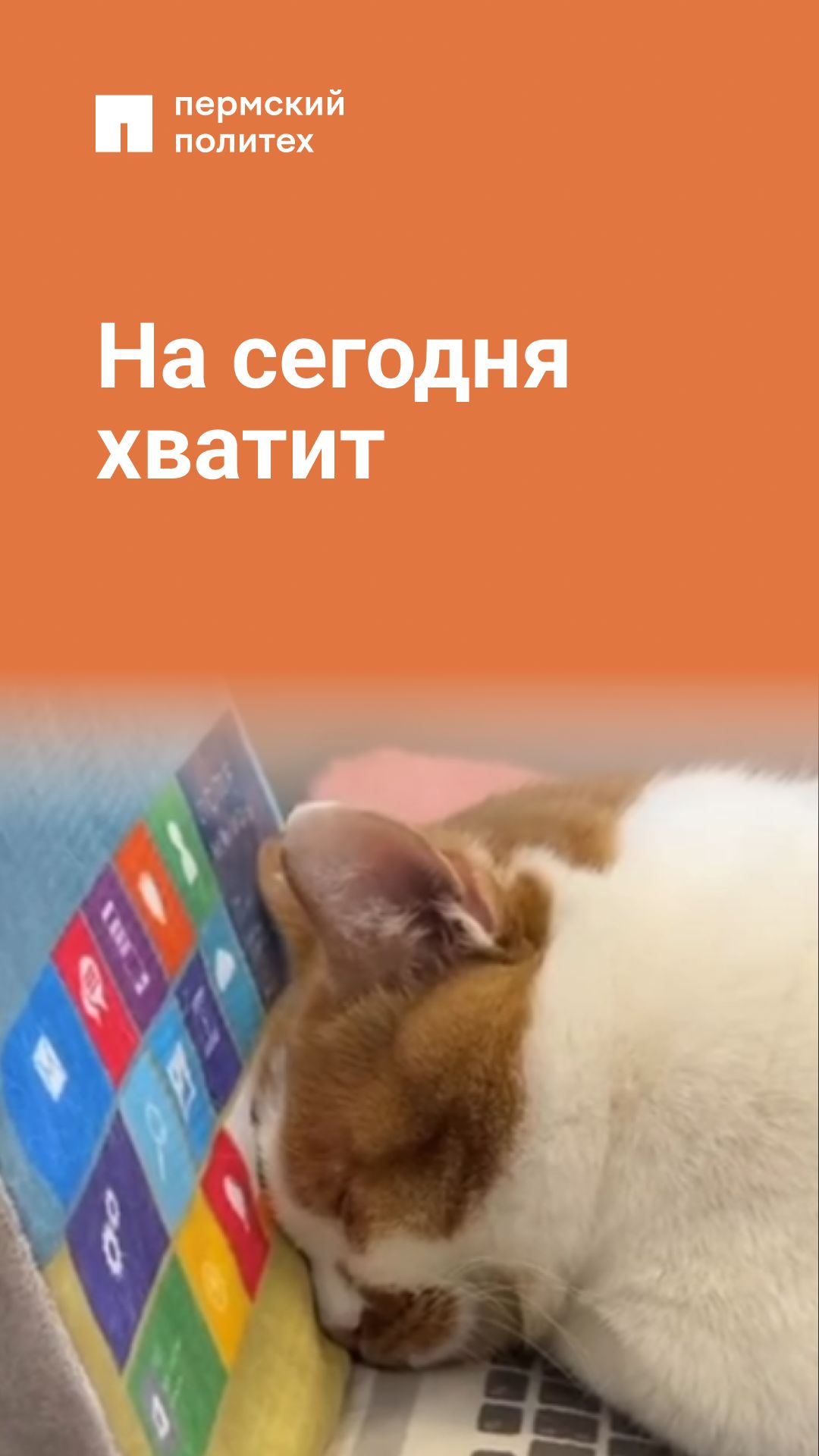 Будем считать, что план на сегодня выполнен смотреть онлайн