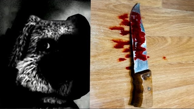 Когда школу атаковали... смотреть онлайн