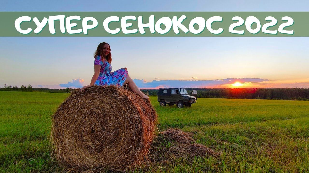 Супер сенокос 2022. Наши деревенские будни. Земляничное поле смотреть онлайн
