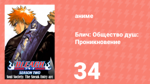 Блич: Общество душ: Проникновение 34 серия (аниме-сериал, 2004)
