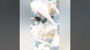 ИГРАЙ ШАНСОНЬЕ ЧТО ТАКОЕ ЛЮБОВЬ. ВИДЕОМОНТАЖ ЕЛЕНА МЕЛЬНИКОВА.