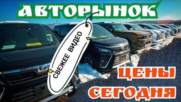КАКИЕ СЕГОДНЯ ЦЕНЫ