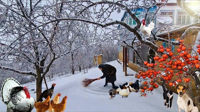 Зимой это блюдо особенно вкусное — бабушка готовит для всей семьи❄️🌨️