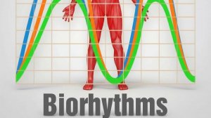 Программное обеспечение «Gr-I-B». Учебное пособие / часть .1