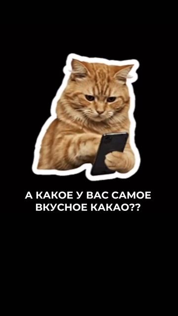 А где бы вы хотели, чтобы была какаочная?