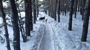 Что готовила, как погуляли на нашем новоселье))