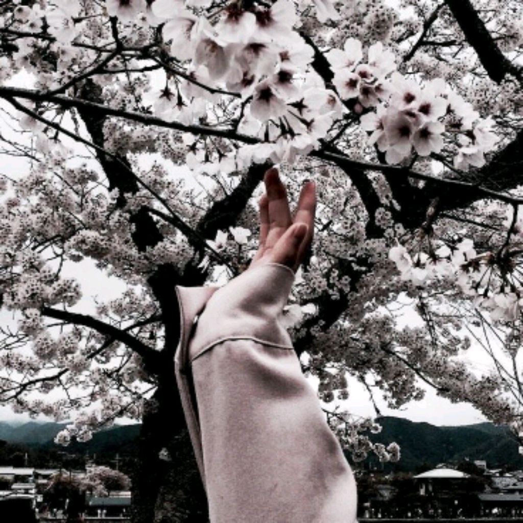 делаю домашку и отвечаю на вопросы смотреть онлайн