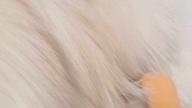 БАССЕЙН ИЗ ИГРУШЕК!!!