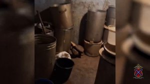 Волгоградскими полицейскими из незаконного оборота изъято 1,7 тонны рыбы стоимостью 5 млн рублей