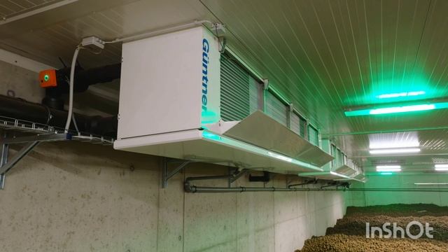 Технологии хранения овощей смотреть онлайн