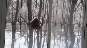 Переполох в лесу