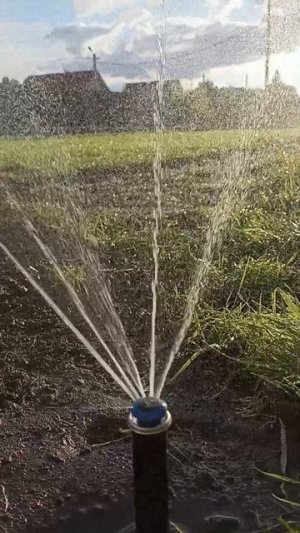 Автополив без бочки.