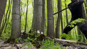 Ночевка в охотничьем домике. Странная находка в лесу