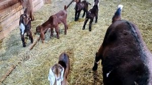 МОРОЗЫ У НАС КРЕЩЕНСКИЕ!