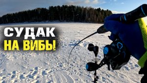 Судаки и щука долбили раттлин с удовольствием