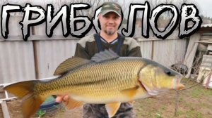 Попловочная удочка.