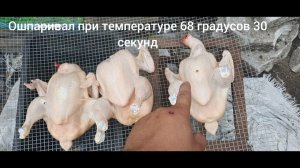 Перосьемная машина из старой стиральной машинки. проще сделать чем щипать руками