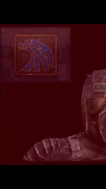 1000005299.mp4 смотреть онлайн