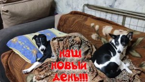 НАШ Новый день в деревне !!Дима ремонтирует компьютер.СОНЧАС.ДЕРЕВЕНСКАЯ ЖИЗНЬ