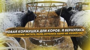 Новая кормушка для коров. Я вернулась и осталась одна на хозяйстве
