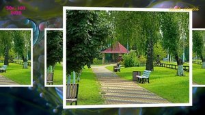 101) 50 КАДРОВ. Лето 2025.vovich video