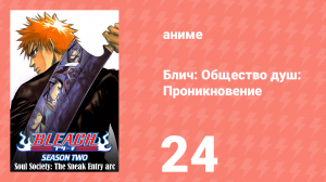 Блич: Общество душ: Проникновение 24 серия (аниме-сериал, 2004)