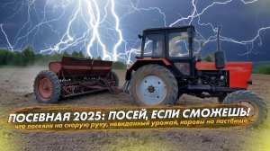 ПОСЕВНАЯ 2025: посей, если сможешь!