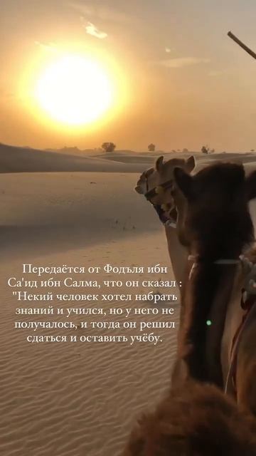 Никогда не сдавайся. Шейх Шамиль аш-Шафи'ий. смотреть онлайн