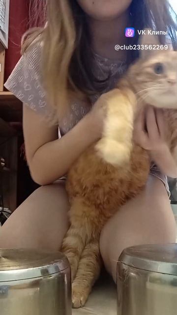 Рыжий играет на кастрюле. смотреть онлайн