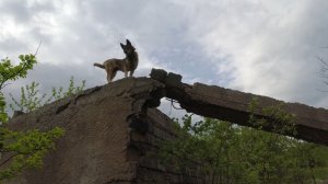 Замечательное место для металлокопа.Новое место