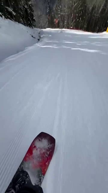 Волк устроил погоню за сноубордистом по горнолыжной трассе в Карачаево-Черкесском Домбае смотреть онлайн