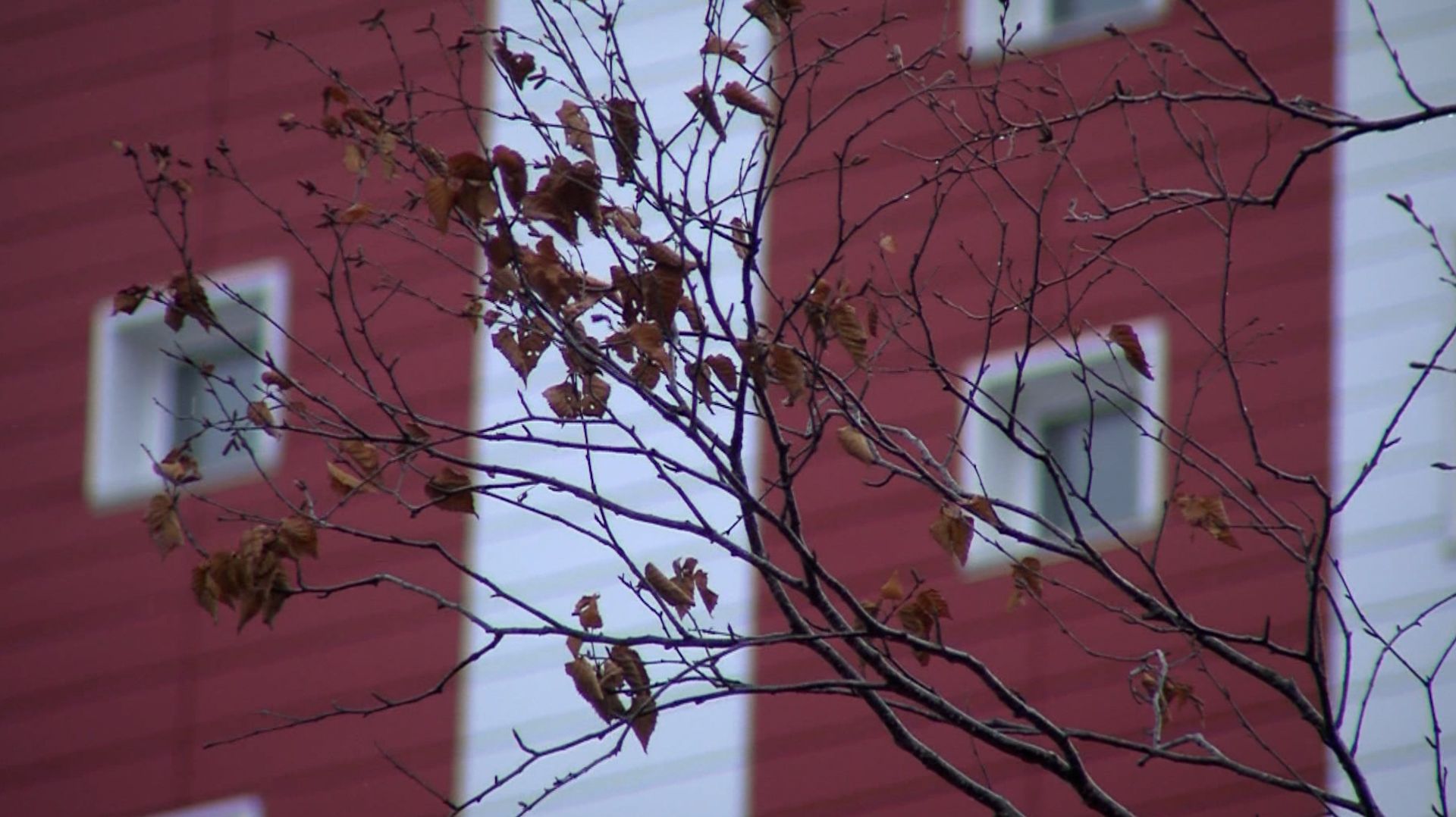 ДОСТУПНОЕ ЖИЛЬЕ смотреть онлайн