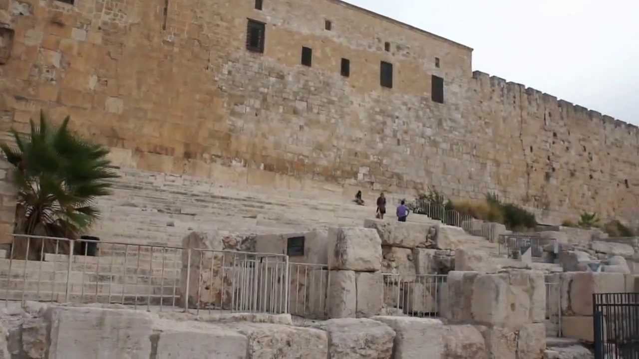 10 Центр Девидсон