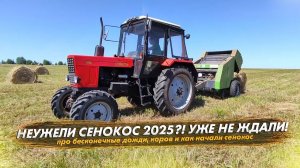 Про дожди, коров и сенокос 2025