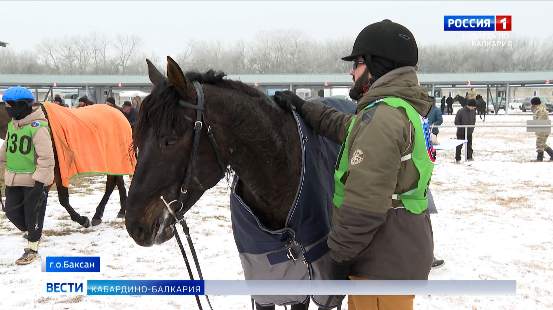 В урочище «Красный Гедуко» прошли квалификационные соревнования по конным пробегам смотреть онлайн