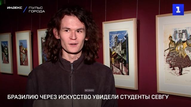 Бразилию через искусство увидели студенты СевГУ смотреть онлайн