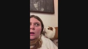 #смешныевидео -787