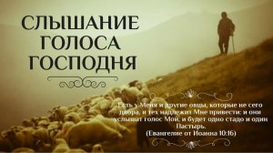 Голос Божий в повседневной жизни: Через что Господь обращается к человеку?