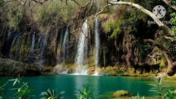 мы родились в Сибири//друзей больше нет//а были?//обзор канала
